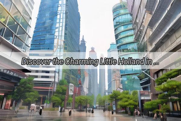 Discover the Charming Little Holland in Guangzhou A Hidden Gem Awaits Your Discovery